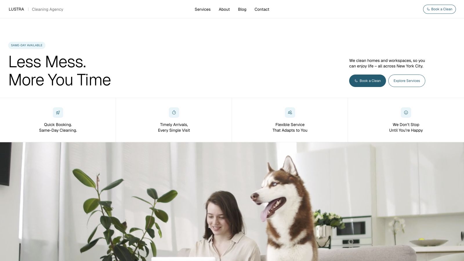 Lustra landing page preview