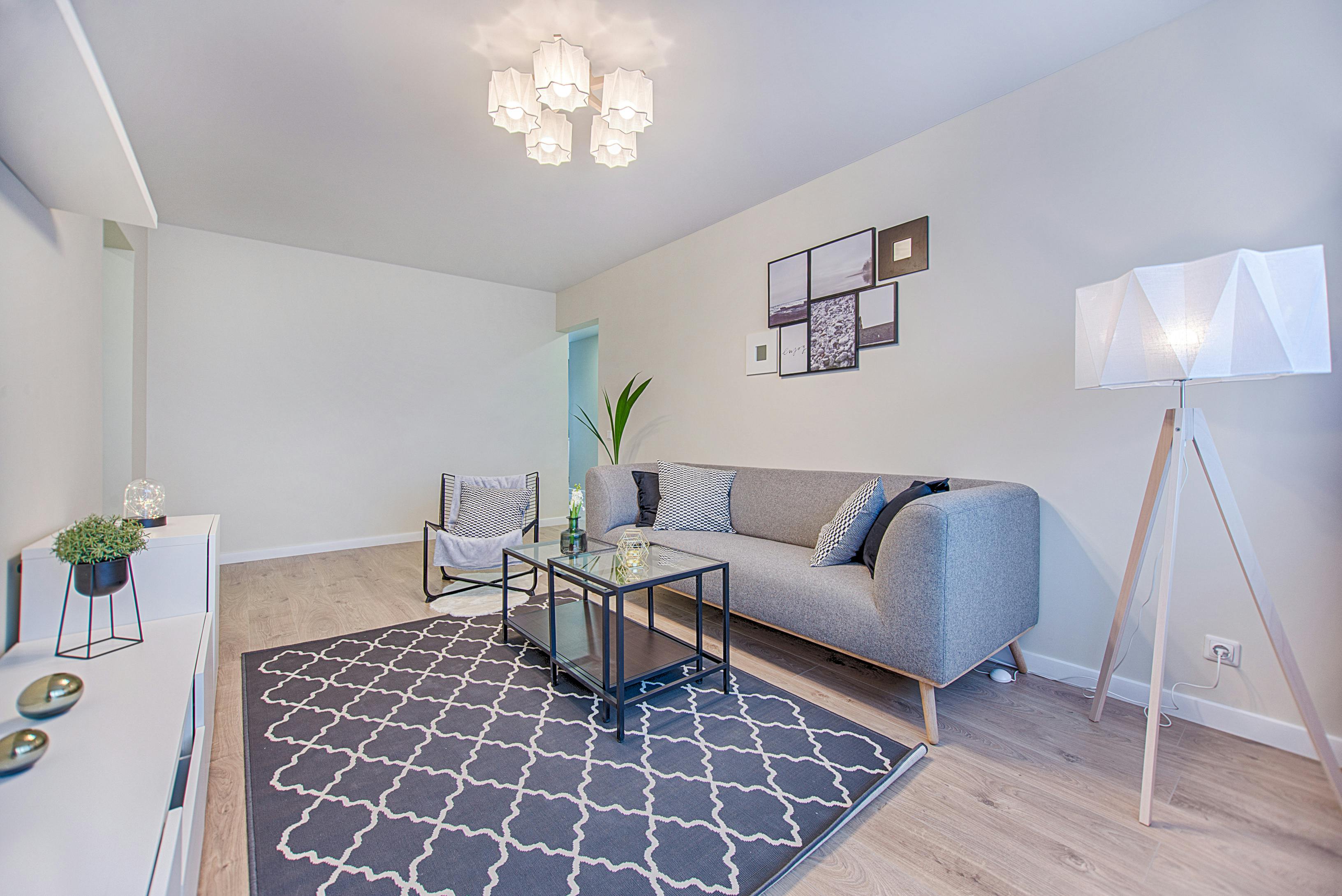 Modern living room with grey sofa and geometric rug